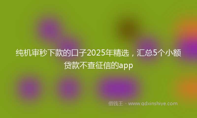 纯机审秒下款的口子2025年精选，汇总5个小额贷款不查征信的app