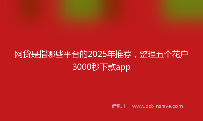 网贷是指哪些平台的2025年推荐，整理五个花户3000秒下款app