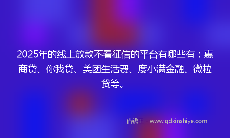 2025年的线上放款不看征信的平台有哪些有：惠商贷、你我贷、美团生活费、度小满金融、微粒贷等。