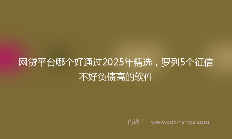 网贷平台哪个好通过2025年精选，罗列5个征信不好负债高的软件