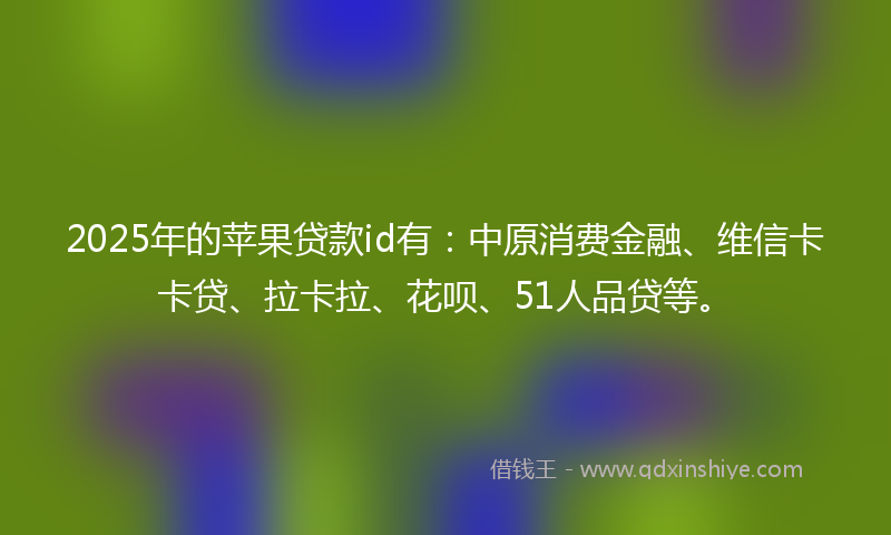 2025年的苹果贷款id有：中原消费金融、维信卡卡贷、拉卡拉、花呗、51人品贷等。