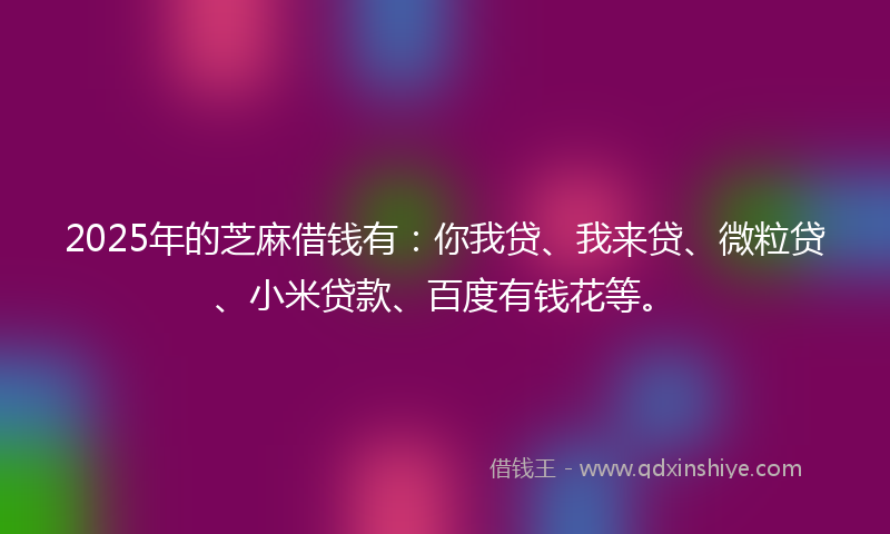 2025年的芝麻借钱有：你我贷、我来贷、微粒贷、小米贷款、百度有钱花等。