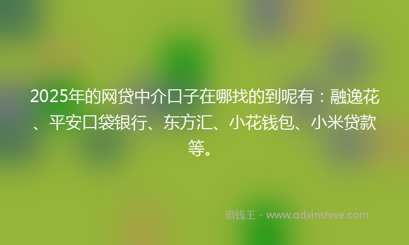 2025年的网贷中介口子在哪找的到呢有：融逸花、平安口袋银行、东方汇、小花钱包、小米贷款等。