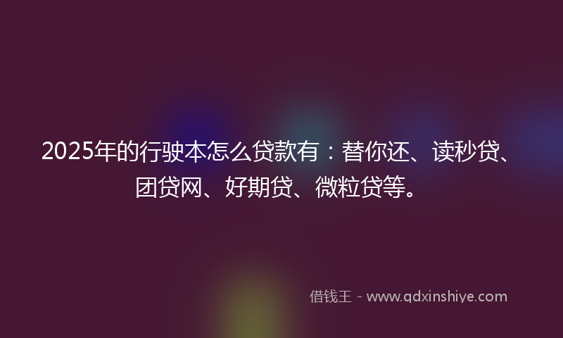 2025年的行驶本怎么贷款有：替你还、读秒贷、团贷网、好期贷、微粒贷等。