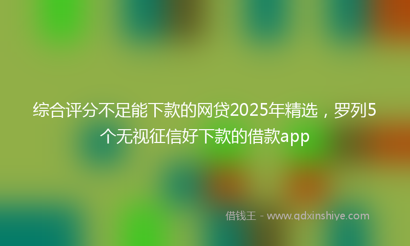 综合评分不足能下款的网贷2025年精选，罗列5个无视征信好下款的借款app