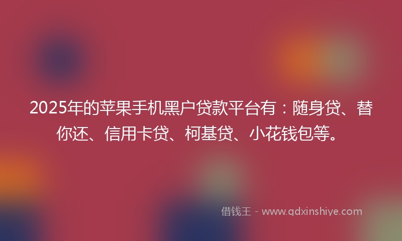 2025年的苹果手机黑户贷款平台有：随身贷、替你还、信用卡贷、柯基贷、小花钱包等。