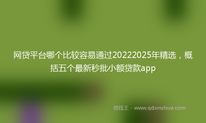 网贷平台哪个比较容易通过20222025年精选，概括五个最新秒批小额贷款app