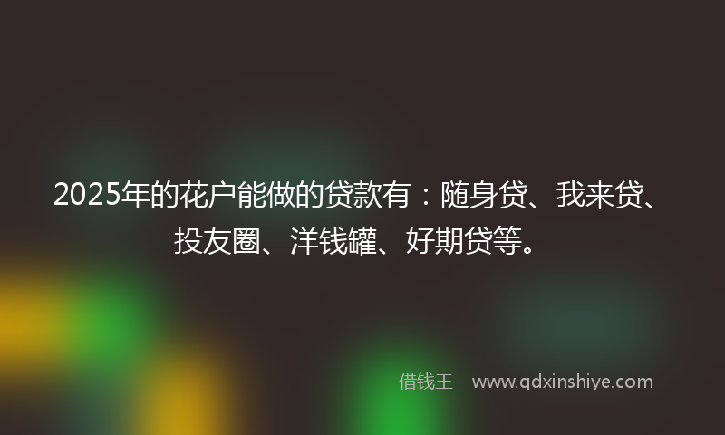 2025年的花户能做的贷款有：随身贷、我来贷、投友圈、洋钱罐、好期贷等。
