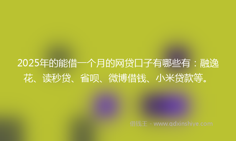 2025年的能借一个月的网贷口子有哪些有：融逸花、读秒贷、省呗、微博借钱、小米贷款等。