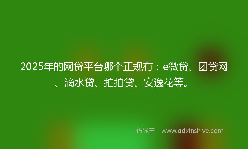 2025年的网贷平台哪个正规有：e微贷、团贷网、滴水贷、拍拍贷、安逸花等。