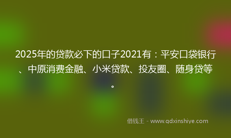 2025年的贷款必下的口子2021有：平安口袋银行、中原消费金融、小米贷款、投友圈、随身贷等。