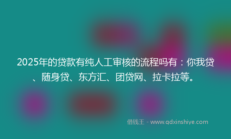 2025年的贷款有纯人工审核的流程吗有：你我贷、随身贷、东方汇、团贷网、拉卡拉等。