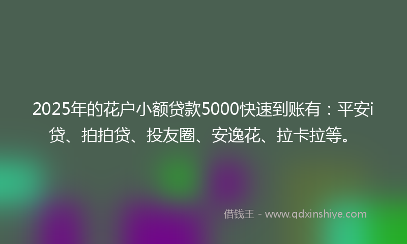 2025年的花户小额贷款5000快速到账有：平安i贷、拍拍贷、投友圈、安逸花、拉卡拉等。