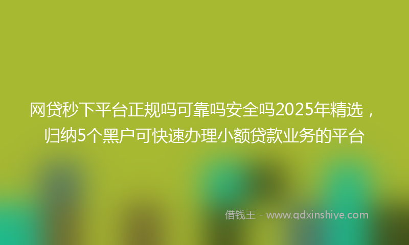 网贷秒下平台正规吗可靠吗安全吗2025年精选，归纳5个黑户可快速办理小额贷款业务的平台
