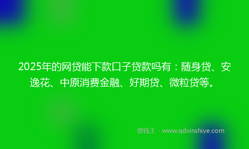 2025年的网贷能下款口子贷款吗有：随身贷、安逸花、中原消费金融、好期贷、微粒贷等。