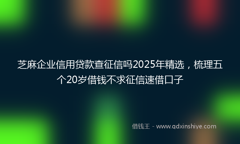 芝麻企业信用贷款查征信吗2025年精选，梳理五个20岁借钱不求征信速借口子