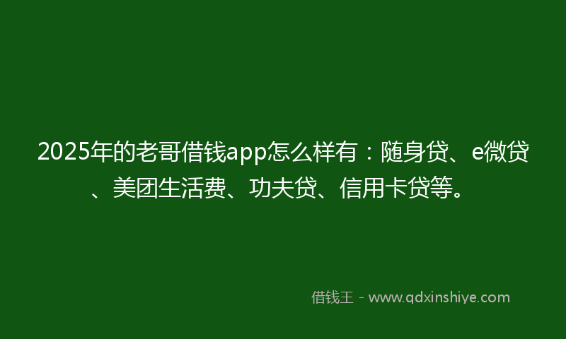 2025年的老哥借钱app怎么样有：随身贷、e微贷、美团生活费、功夫贷、信用卡贷等。