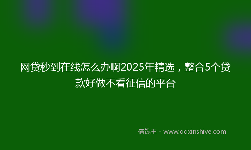 网贷秒到在线怎么办啊2025年精选，整合5个贷款好做不看征信的平台
