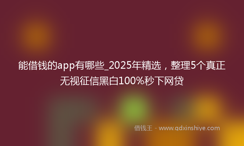 能借钱的app有哪些_2025年精选，整理5个真正无视征信黑白100%秒下网贷
