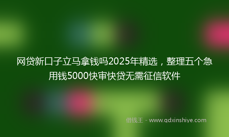 网贷新口子立马拿钱吗2025年精选，整理五个急用钱5000快审快贷无需征信软件