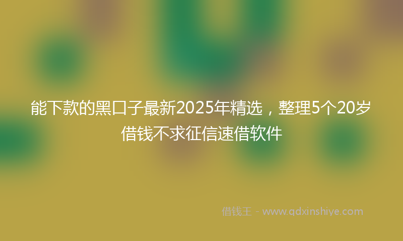 能下款的黑口子最新2025年精选，整理5个20岁借钱不求征信速借软件