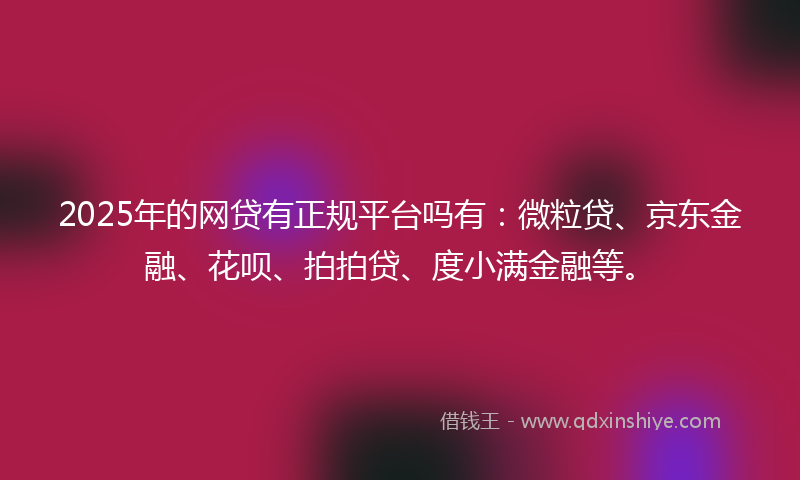 2025年的网贷有正规平台吗有：微粒贷、京东金融、花呗、拍拍贷、度小满金融等。