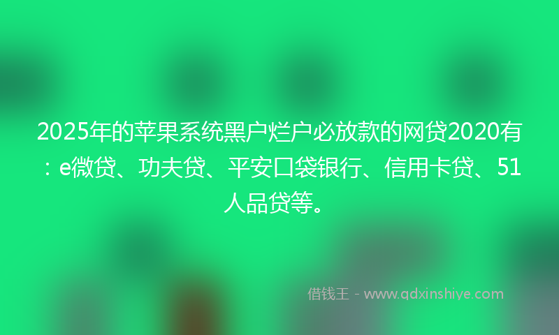 2025年的苹果系统黑户烂户必放款的网贷2020有：e微贷、功夫贷、平安口袋银行、信用卡贷、51人品贷等。