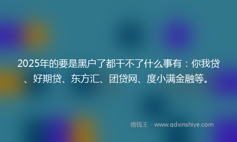 2025年的要是黑户了都干不了什么事有：你我贷、好期贷、东方汇、团贷网、度小满金融等。