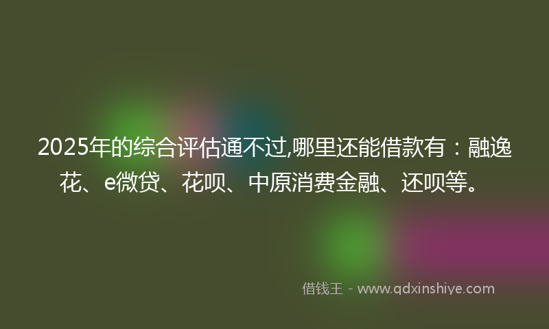 2025年的综合评估通不过,哪里还能借款有：融逸花、e微贷、花呗、中原消费金融、还呗等。