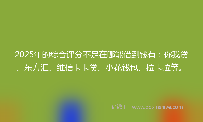 2025年的综合评分不足在哪能借到钱有：你我贷、东方汇、维信卡卡贷、小花钱包、拉卡拉等。