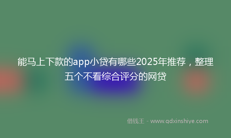 能马上下款的app小贷有哪些2025年推荐，整理五个不看综合评分的网贷