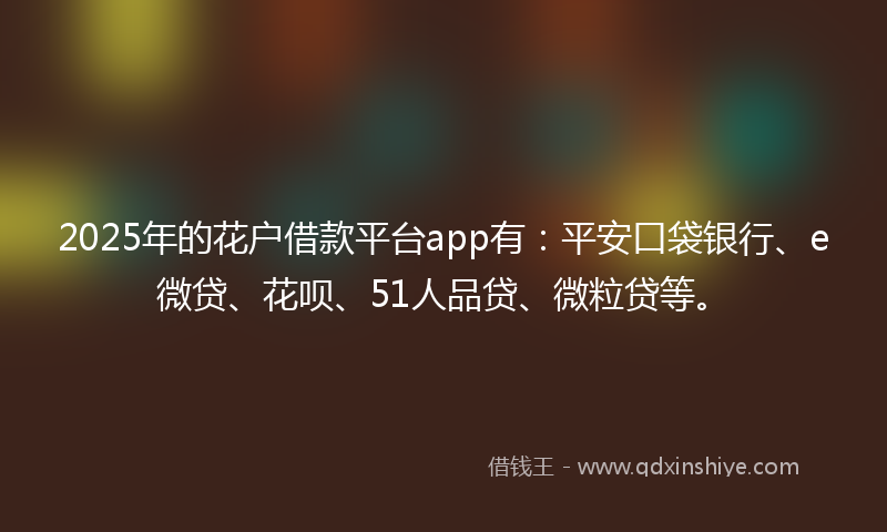 2025年的花户借款平台app有：平安口袋银行、e微贷、花呗、51人品贷、微粒贷等。