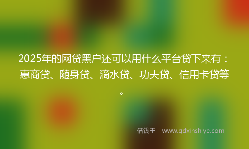 2025年的网贷黑户还可以用什么平台贷下来有：惠商贷、随身贷、滴水贷、功夫贷、信用卡贷等。
