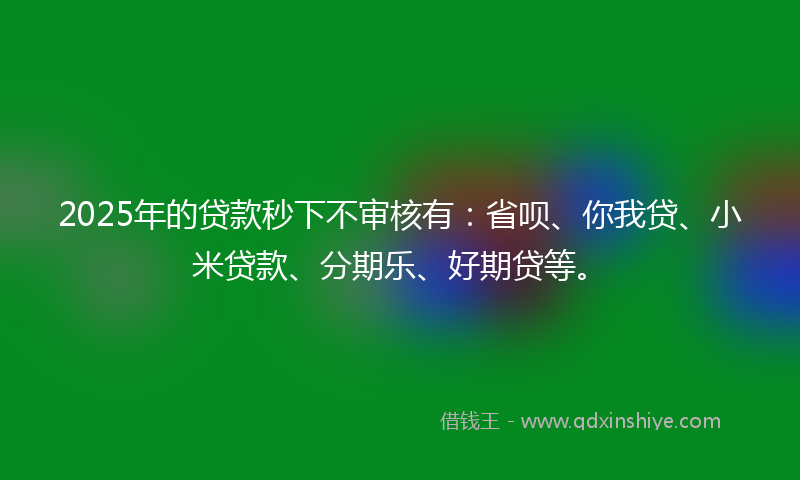 2025年的贷款秒下不审核有：省呗、你我贷、小米贷款、分期乐、好期贷等。