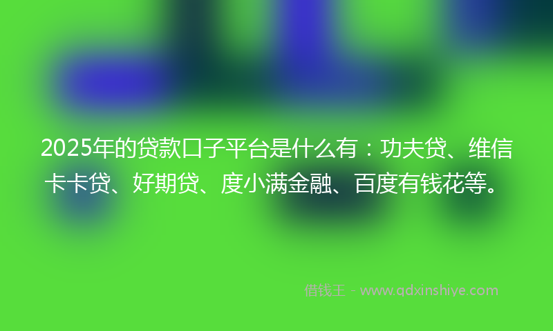 2025年的贷款口子平台是什么有：功夫贷、维信卡卡贷、好期贷、度小满金融、百度有钱花等。