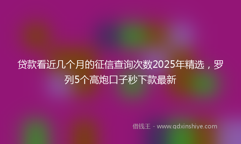 贷款看近几个月的征信查询次数2025年精选，罗列5个高炮口子秒下款最新