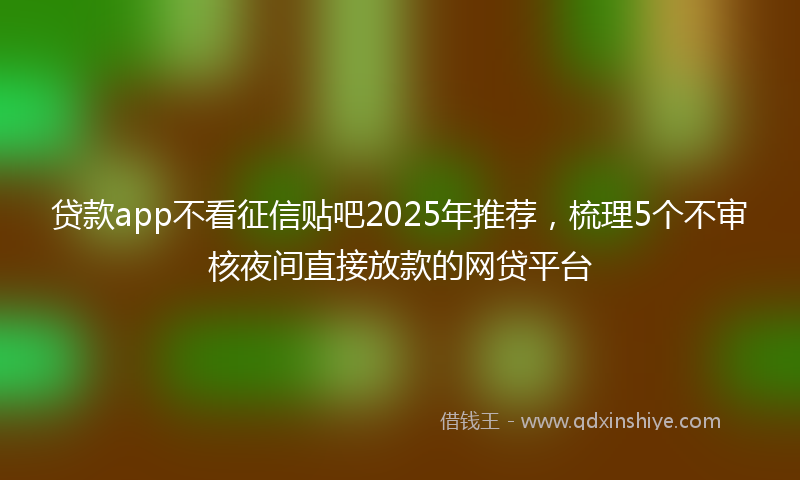 贷款app不看征信贴吧2025年推荐，梳理5个不审核夜间直接放款的网贷平台