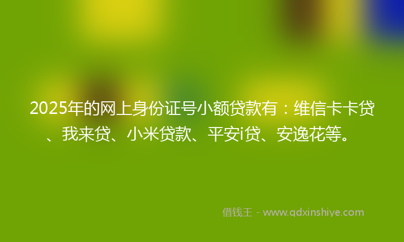 2025年的网上身份证号小额贷款有：维信卡卡贷、我来贷、小米贷款、平安i贷、安逸花等。