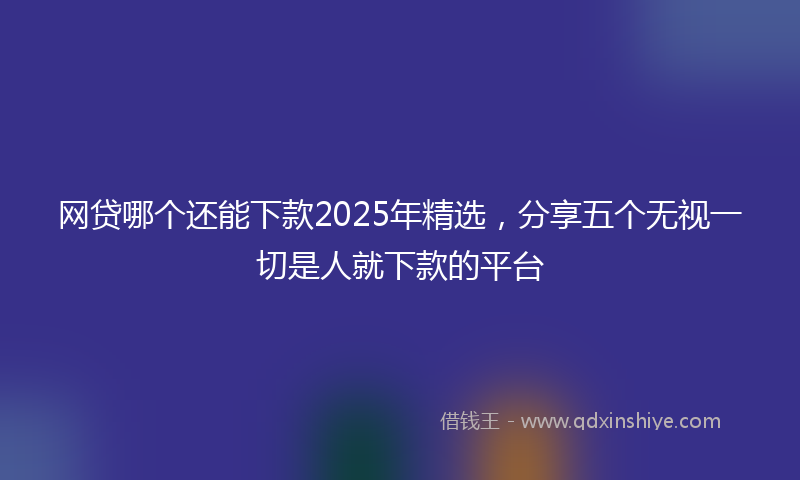 网贷哪个还能下款2025年精选，分享五个无视一切是人就下款的平台