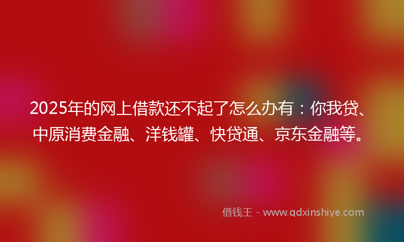 2025年的网上借款还不起了怎么办有：你我贷、中原消费金融、洋钱罐、快贷通、京东金融等。