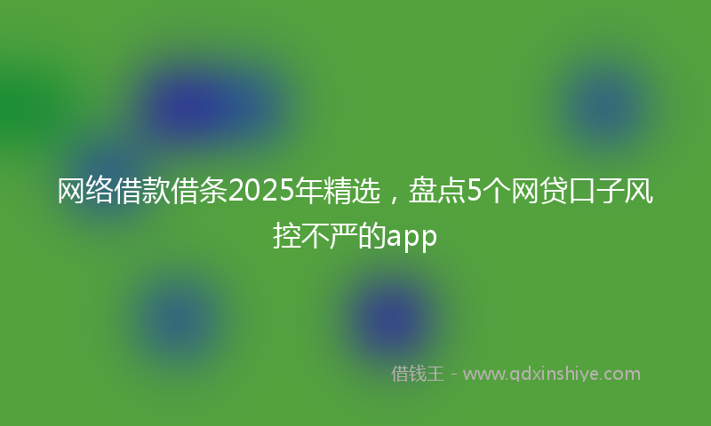 网络借款借条2025年精选，盘点5个网贷口子风控不严的app