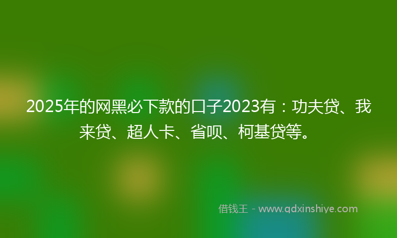 2025年的网黑必下款的口子2023有：功夫贷、我来贷、超人卡、省呗、柯基贷等。