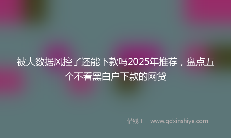 被大数据风控了还能下款吗2025年推荐，盘点五个不看黑白户下款的网贷