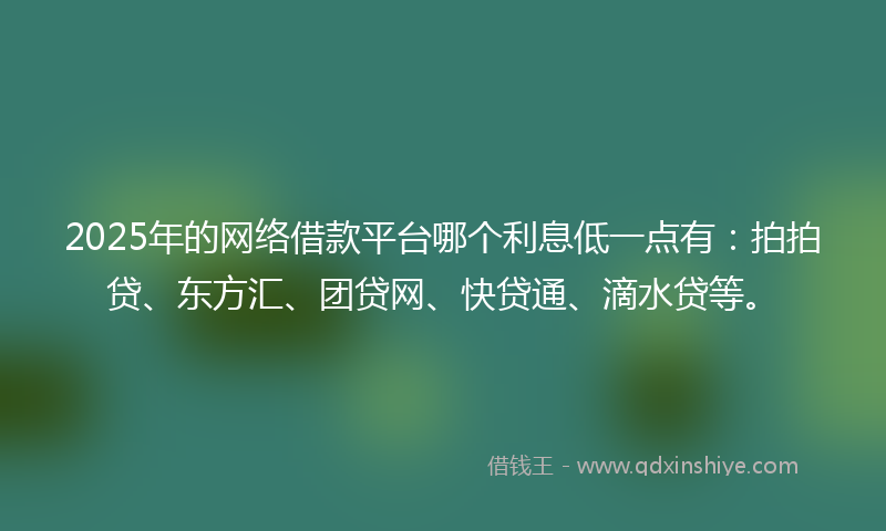 2025年的网络借款平台哪个利息低一点有：拍拍贷、东方汇、团贷网、快贷通、滴水贷等。