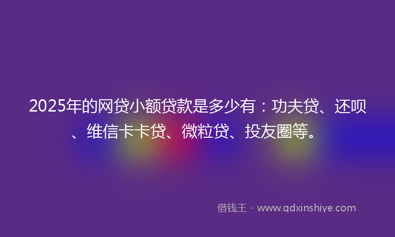 2025年的网贷小额贷款是多少有：功夫贷、还呗、维信卡卡贷、微粒贷、投友圈等。