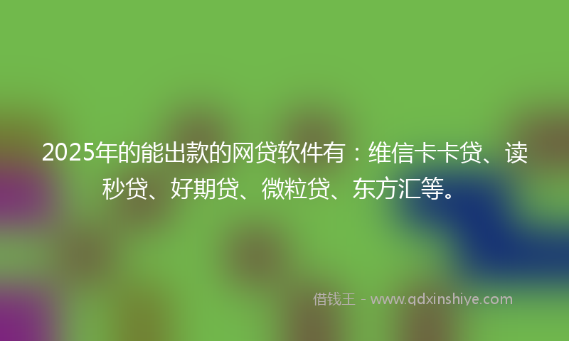 2025年的能出款的网贷软件有：维信卡卡贷、读秒贷、好期贷、微粒贷、东方汇等。