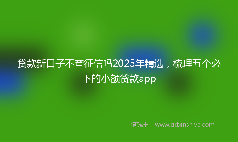 贷款新口子不查征信吗2025年精选，梳理五个必下的小额贷款app