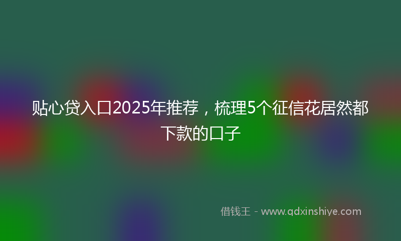 贴心贷入口2025年推荐，梳理5个征信花居然都下款的口子