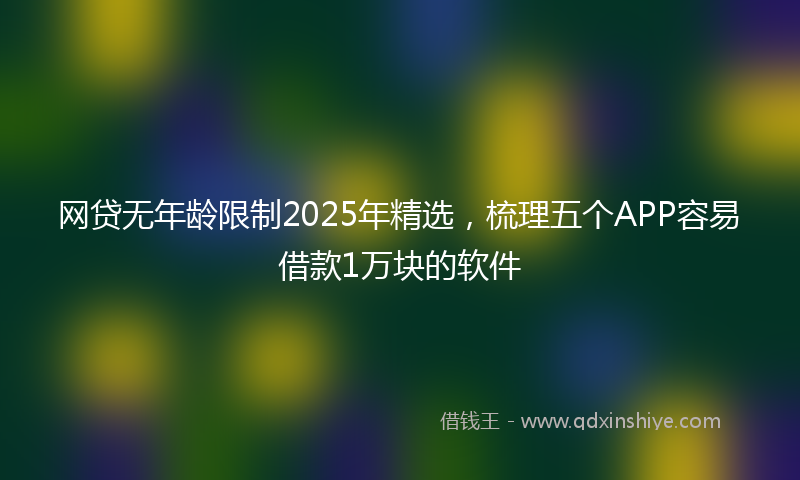 网贷无年龄限制2025年精选，梳理五个APP容易借款1万块的软件