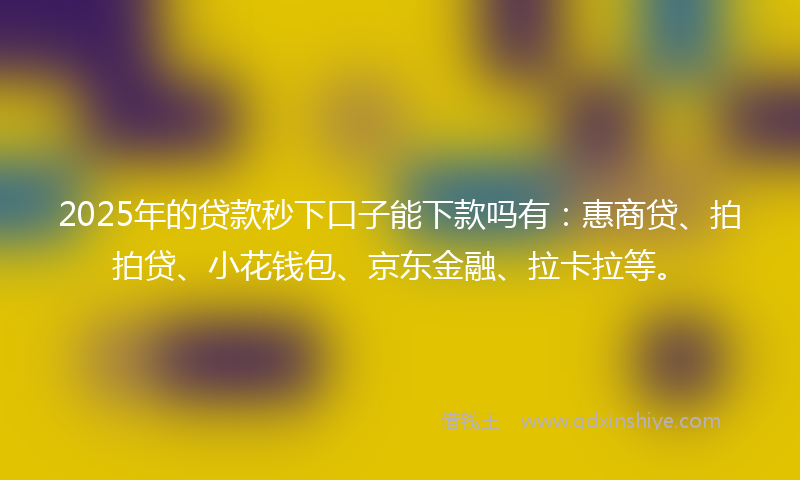 2025年的贷款秒下口子能下款吗有：惠商贷、拍拍贷、小花钱包、京东金融、拉卡拉等。
